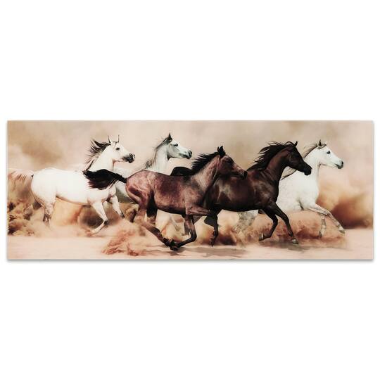 Empire Art Direct 63" x 24" Stampede Frameless Free Floating Printed Tempered Art Glass Wall Art
